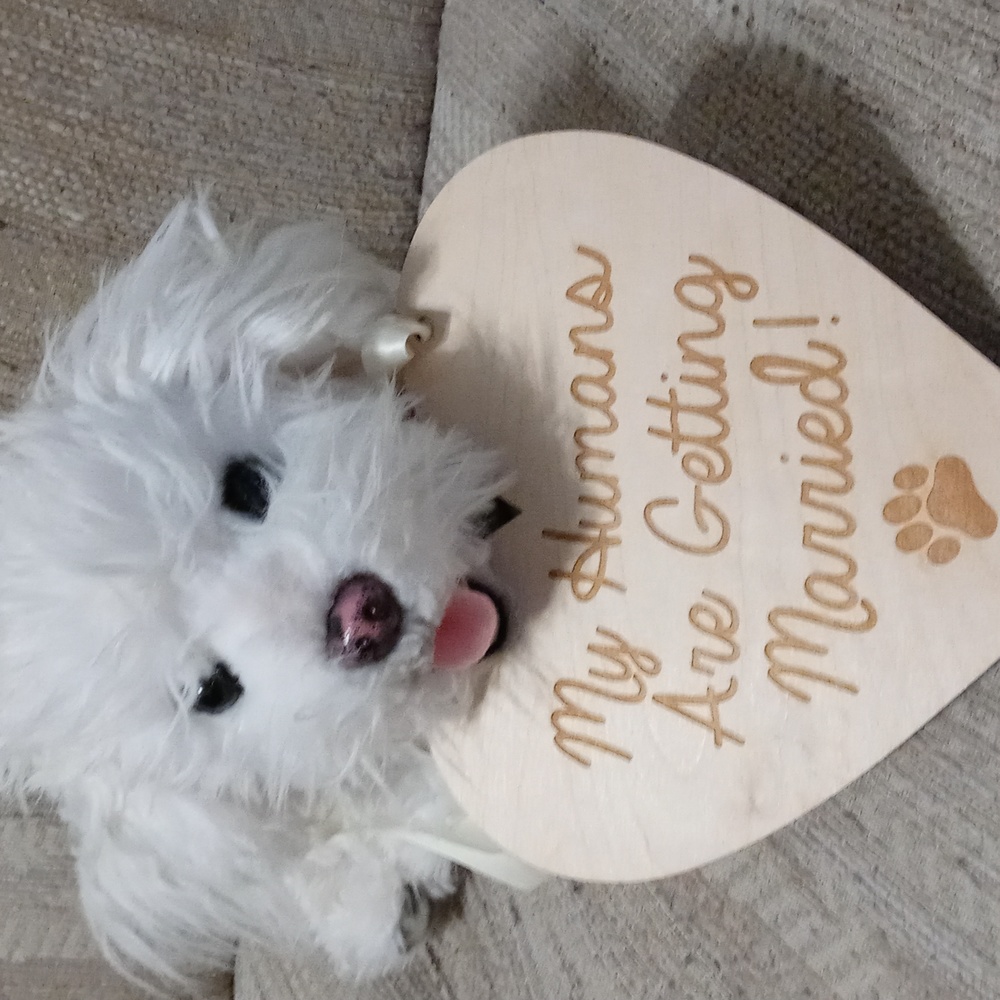 My Humans are Getting Married sign